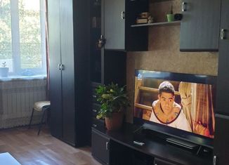 Продам однокомнатную квартиру, 30.1 м2, Нижний Новгород, Травяная улица, 23А, Травяная улица