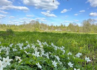 Продам участок, 15 сот., деревня Некрасово