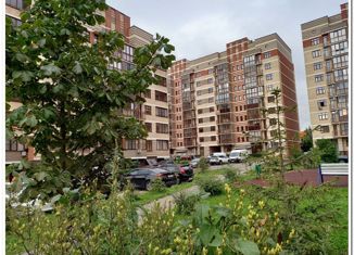 Продаю квартиру студию, 22 м2, деревня Ивановское, улица Семёна Гордого, 10