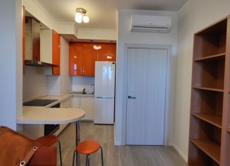 Продается 1-комнатная квартира, 38.4 м2, Санкт-Петербург, Республиканская улица, 24к1, Республиканская улица