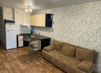 Продаю квартиру студию, 22 м2, Пенза, улица Шмидта, 24Г, район Заводской