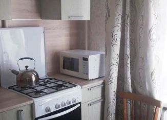 Сдается 1-комнатная квартира, 30.9 м2, Санкт-Петербург, проспект Науки, 43, метро Академическая
