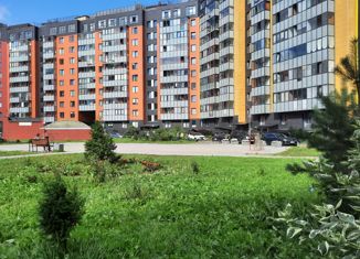 Продаю квартиру студию, 35 м2, Пушкин, улица Архитектора Данини, 5