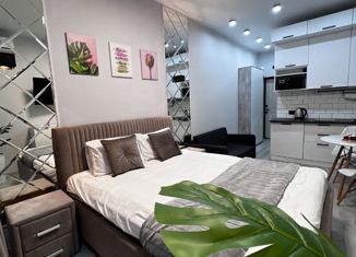 Продается 1-комнатная квартира, 25 м2, Сочи, ЖК Курортный, улица Ленина, 290/6