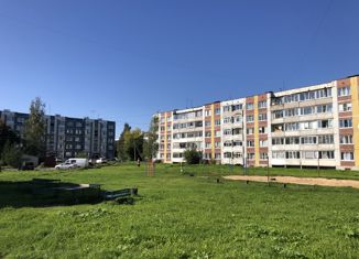 Продажа 1-ком. квартиры, 36 м2, деревня Большие Колпаны, улица 30 лет Победы, 11