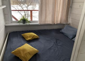 Продается дом, 24 м2, деревня Кобрино, улица Пушкина