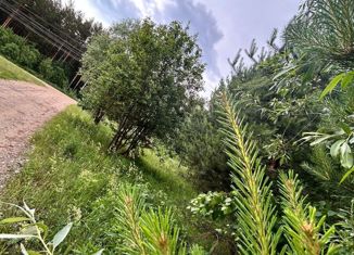 Продам земельный участок, 14 сот., село Николо-Берёзовка