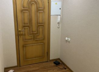 Продается однокомнатная квартира, 58 м2, Нижегородская область, Касимовская улица, 21А