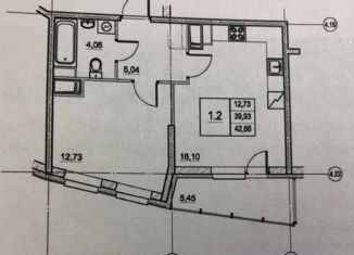 1-комнатная квартира на продажу, 44.35 м2, Санкт-Петербург, улица Типанова, 23с1, ЖК Питер