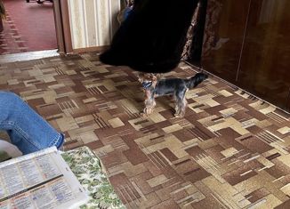 Продаю дом, 70 м2, село Красное, Соборная площадь