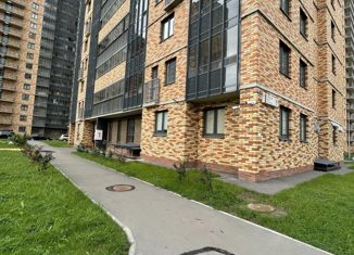 Продам двухкомнатную квартиру, 52 м2, посёлок Парголово, Толубеевский проезд, 36к2