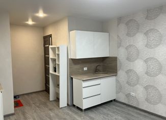 Продаю квартиру студию, 18.3 м2, Пермский край, Торговая улица, 8