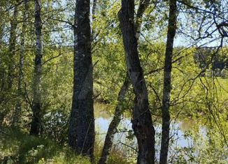 Земельный участок на продажу, 13 сот., деревня Владимировка