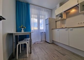 Продается 1-комнатная квартира, 26 м2, Санкт-Петербург, улица Зины Портновой, 17к5, метро Ленинский проспект