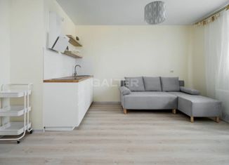 Продается квартира студия, 25.2 м2, Санкт-Петербург, Парашютная улица, 42к1, ЖК Граффити