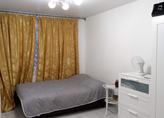 Продаю квартиру студию, 24.7 м2, Санкт-Петербург, проспект Металлистов, 117, проспект Металлистов