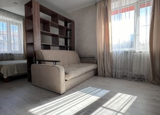 Продается 1-комнатная квартира, 31.6 м2, Петропавловск-Камчатский, микрорайон Кирпичики, Дальняя улица, 24/1