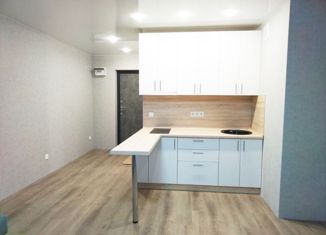 Продам квартиру студию, 24 м2, деревня Хохряки, Муромская улица, 2