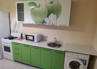 Сдам в аренду 1-ком. квартиру, 40 м2, деревня Кудрово, Пражская улица, 12