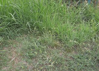 Продажа участка, 20000 сот., Энемское городское поселение