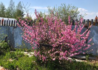 Дом на продажу, 45 м2, СНТ Берёзка