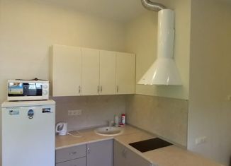 Сдам квартиру студию, 25 м2, Сочи, садоводческое товарищество Лысая Гора, 255, микрорайон Соболевка