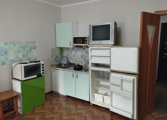 Квартира в аренду студия, 29 м2, Красноярск, Светлогорская улица, 11А