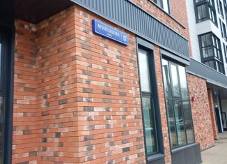 Продаю 1-комнатную квартиру, 45 м2, Москва, улица Молодцова, 17, улица Молодцова