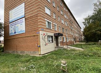 Продам 1-комнатную квартиру, 29.4 м2, Чистополь, улица 40 лет Победы, 28Б