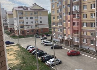 Продам однокомнатную квартиру, 33.8 м2, село Семёновка, Молодёжная улица, 3В