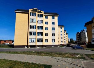 Продам двухкомнатную квартиру, 66 м2, Борисоглебск, Дорожная улица, 52с4