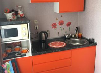 Аренда 1-комнатной квартиры, 45 м2, Санкт-Петербург, улица Тельмана, 41к1