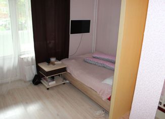 Продается квартира студия, 24.4 м2, Кемерово, переулок Леонова, 4, Кировский район
