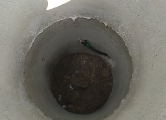 Земельный участок на продажу, 5 сот., СНТ Бытовик-2, СНТ Бытовик-2, 75