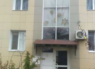 Продаю однокомнатную квартиру, 46.6 м2, поселок Дубовое, Благодатная улица, 262