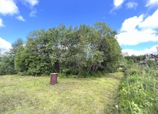 Продается участок, 6.25 сот., садоводческое товарищество Верба