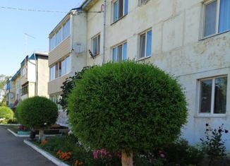 Двухкомнатная квартира на продажу, 47 м2, село Корсаковка, Комсомольская улица, 16