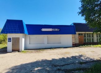 Продаю дом, 650 м2, деревня Грицово, Центральная улица, 45