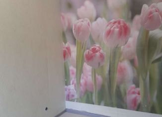 Однокомнатная квартира на продажу, 29 м2, посёлок городского типа Оверята, Заводская улица, 21