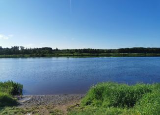 Участок на продажу, 14 сот., деревня Мухино-Городище, деревня Мухино-Городище, 7