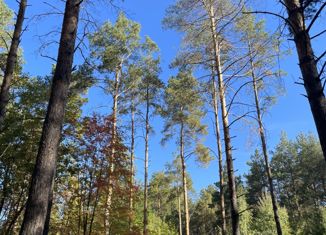 Продается участок, 10 сот., деревня Килелей