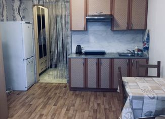 Продаю квартиру студию, 30 м2, Санкт-Петербург, проспект Кузнецова, 14к2, проспект Кузнецова