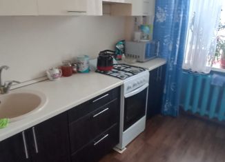 Двухкомнатная квартира на продажу, 48.8 м2, село Минькино, Новая улица, 4