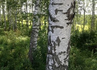 Продаю участок, 15 сот., ДНТ Лекон