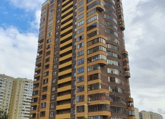 Продается квартира студия, 25.1 м2, Санкт-Петербург, проспект Кузнецова, 14к2, проспект Кузнецова