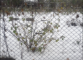 Продажа участка, 3.5 сот., Каменск-Шахтинский, Украинская улица