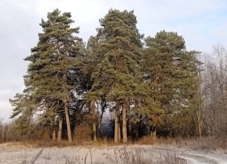 Дом на продажу, 59.4 м2, деревня Дергайково