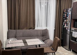 Продаю однокомнатную квартиру, 45.5 м2, Оренбург, улица Берёзка, 2/4, жилой район Степной