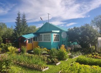 Трехкомнатная квартира на продажу, 46.3 м2, село Эссо, Нагорная улица, 5