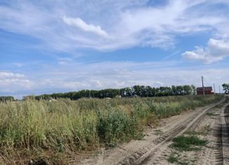 Продается земельный участок, 6700 сот., село Панская Слобода